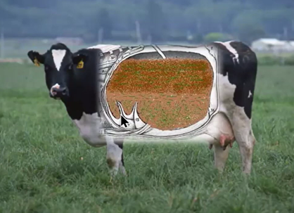 \"\"